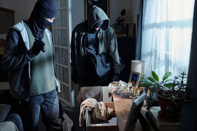 Theft & Fraud